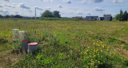 Arques Terrain à bâtir - 2259646-1587annonce3202509036cq89.jpeg Maisons Open