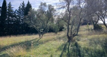 Valflaunès Terrain à bâtir - 2298159-11040annonce120251008fL9PX.jpeg Maisons Open