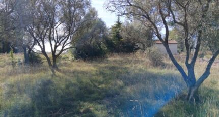 Valflaunès Terrain à bâtir - 2298218-11040annonce120251008cTiiV.jpeg Maisons Open