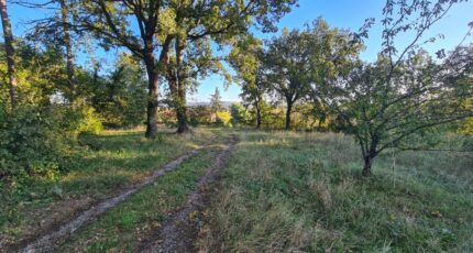 Saint-Paul-Cap-de-Joux Terrain à bâtir - 2297986-11178annonce220251008tmvm8.jpeg Maisons Open