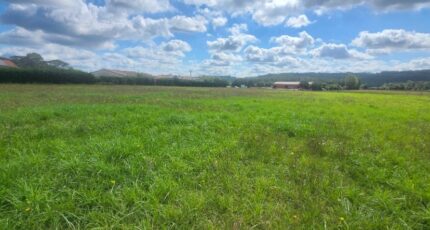 Saint-Gauzens Terrain à bâtir - 2297947-11178annonce220251008b0zGn.jpeg Maisons Open