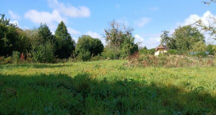 Reux Terrain à bâtir - 2262244-11563annonce120250905VTM2H.jpeg Maisons Open