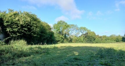 Saint-Hymer Terrain à bâtir - 2262060-11563annonce220250905PWyXI.jpeg Maisons Open