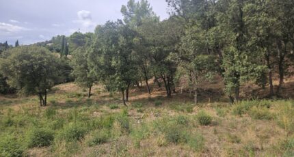 Taradeau Terrain à bâtir - 2305292-5163annonce220251014xe9FN.jpeg Maisons Open