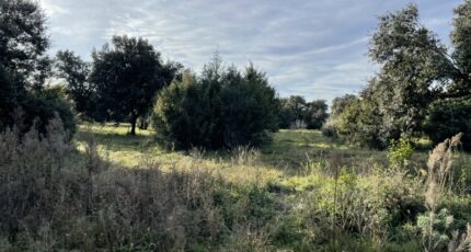 Saint-Siffret Terrain à bâtir - 2305580-4620annonce120251015o9hJZ.jpeg Maisons Open