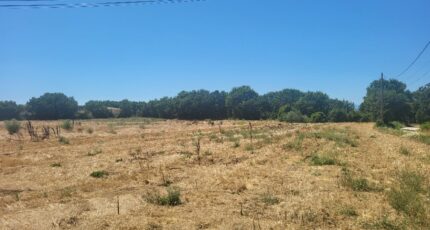 Blauzac Terrain à bâtir - 2306267-4620annonce120251015RMCCn.jpeg Maisons Open