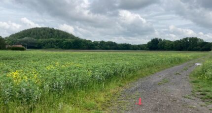 Carvin Terrain à bâtir - 2305929-1807annonce120251015MwNnX.jpeg Maisons Open