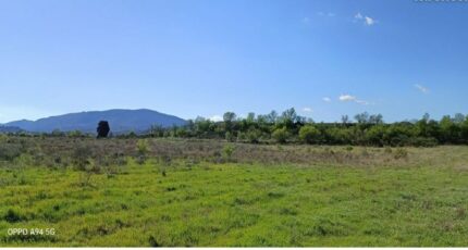 Ferrals-les-Corbières Terrain à bâtir - 2306708-10986annonce120250624uIkmz.jpeg Maisons Open