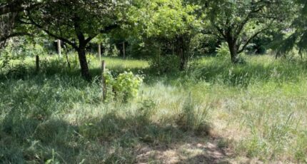 Rouans Terrain à bâtir - 2306572-11110annonce120251216VUdbS.jpeg Maisons Open