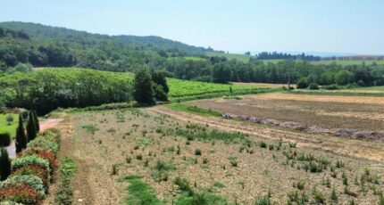 Saint-Martin-de-Villereglan Terrain à bâtir - 2307113-10986annonce120250626HZoS8.jpeg Maisons Open