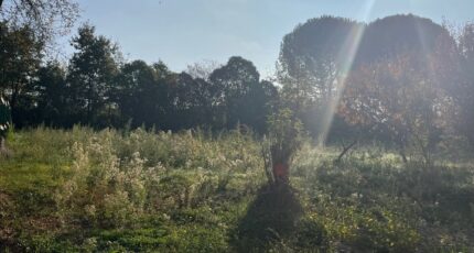 Albi Terrain à bâtir - 2305744-2684annonce120251015tEsHu.jpeg Maisons Open