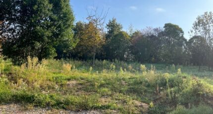 Albi Terrain à bâtir - 2305744-2684annonce320251015A0FVt.jpeg Maisons Open