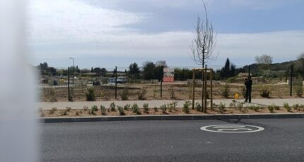 Saint-Mathieu-de-Tréviers Terrain à bâtir - 2309254-3243annonce220250411RSTlV.jpeg Maisons Open