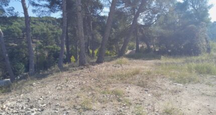 Septèmes-les-Vallons Terrain à bâtir - 2309419-11238annonce3202510176gMeU.jpeg Maisons Open