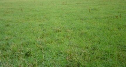 Saint-Patrice-du-Désert Terrain à bâtir - 2311034-1153annonce120241115FRF9E.jpeg Maisons Open