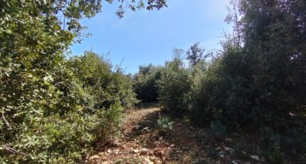 Ucel Terrain à bâtir - 2311187-5100annonce120251020e5Mcf.jpeg Maisons Open