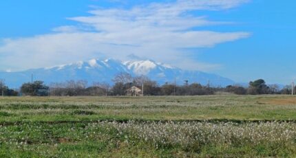 Villeneuve-de-la-Raho Terrain à bâtir - 2311181-4671annonce12025102004lRn.jpeg Maisons Open