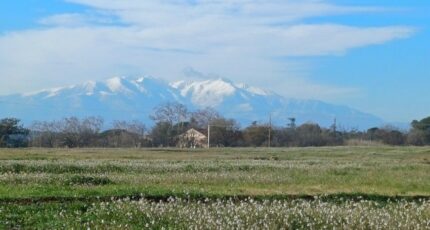 Villeneuve-de-la-Raho Terrain à bâtir - 2311482-4671annonce120251020aBTMm.jpeg Maisons Open