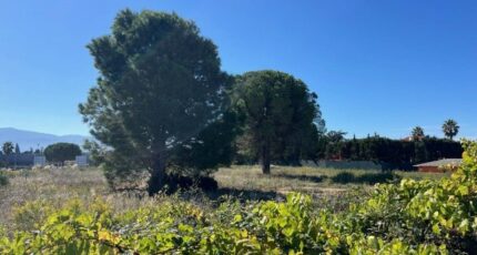 Latour-Bas-Elne Terrain à bâtir - 2312712-4671annonce120251021ierw0.jpeg Maisons Open