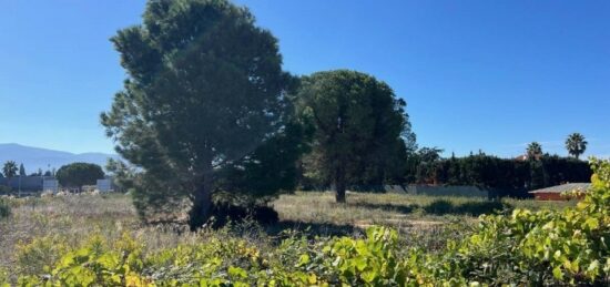 Terrain à bâtir à Latour-Bas-Elne, Occitanie