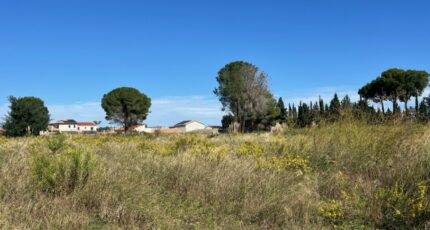 Latour-Bas-Elne Terrain à bâtir - 2312730-4671annonce120251021ia5TL.jpeg Maisons Open