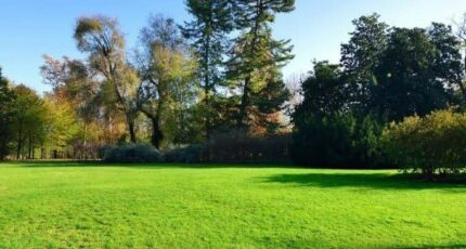 Montauban Terrain à bâtir - 2310512-3575annonce1202510204V0bb.jpeg Maisons Open