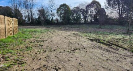 Albi Terrain à bâtir - 2311278-11178annonce320251020uFqsE.jpeg Maisons Open