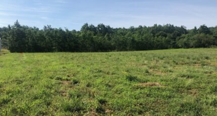 Saint-Aignan Terrain à bâtir - 2312651-3575annonce2202510210hvPt.jpeg Maisons Open