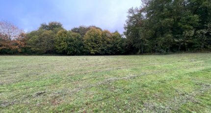 Saint-Léonard-de-Noblat Terrain à bâtir - 2316948-11648annonce120251024XwNZh.jpeg Maisons Open