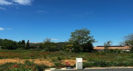 Saint-André-de-Roquelongue Terrain à bâtir - 2318213-10986annonce120250703AGuns.jpeg Maisons Open