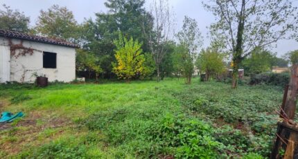 Gaillac Terrain à bâtir - 2321038-11178annonce420251029hWTm0.jpeg Maisons Open