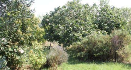 Castelnaudary Terrain à bâtir - 2327184-10986annonce120250715NczXo.jpeg Maisons Open