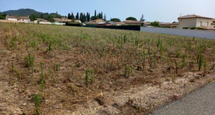 Hérépian Terrain à bâtir - 2327452-11018annonce320251104DH1pv.jpeg Maisons Open