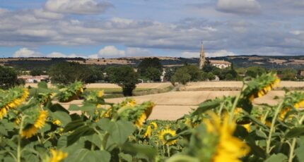 Peyrens Terrain à bâtir - 2329017-10986annonce1202511054qixX.jpeg Maisons Open