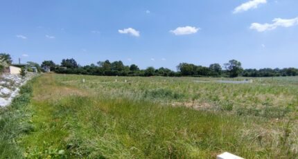 Les Alleuds Terrain à bâtir - 2329322-10544annonce120251105nT8b7.jpeg Maisons Open