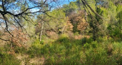 Brignoles Terrain à bâtir - 2329487-10746annonce120251106vqWs6.jpeg Maisons Open