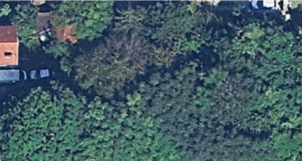 Corbeil-Essonnes Terrain à bâtir - 2330012-4684annonce120251106OMmNZ.jpeg Maisons Open