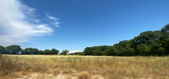 Terrain à bâtir à Vérargues, Occitanie