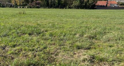 Albi Terrain à bâtir - 2329587-2684annonce220251106rRa2J.jpeg Maisons Open