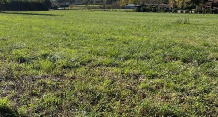 Albi Terrain à bâtir - 2329587-2684annonce320251106Rg3QW.jpeg Maisons Open