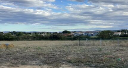 Lézignan-Corbières Terrain à bâtir - 2331299-10986annonce120251107K7JHv.jpeg Maisons Open