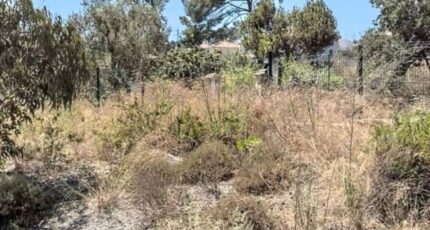 La Ciotat Terrain à bâtir - 2299625-7054annonce1202510097JqPQ.jpeg Maisons Open