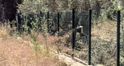 La Ciotat Terrain à bâtir - 2299625-7054annonce220251009vrZ0l.jpeg Maisons Open