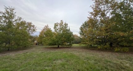 Saint-Loup-Cammas Terrain à bâtir - 2334272-3925annonce120251110K955C.jpeg Maisons Open