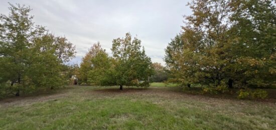Terrain à bâtir à Saint-Loup-Cammas, Occitanie
