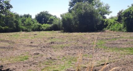 Mios Terrain à bâtir - 2335521-11151annonce120251112m2JTX.jpeg Maisons Open