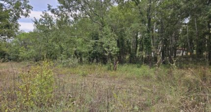 Tourrettes Terrain à bâtir - 2301632-5163annonce320251010pIODZ.jpeg Maisons Open