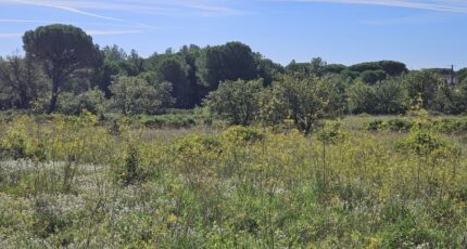 Puget-sur-Argens Terrain à bâtir - 2303026-5163annonce320251013CCxFv.jpeg Maisons Open