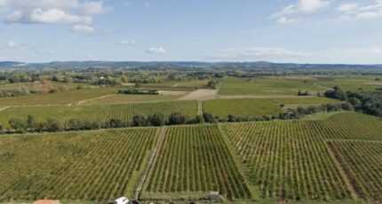 Ceyras Terrain à bâtir - 2336536-11507annonce120251113KoZSq.jpeg Maisons Open