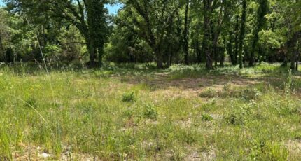 Montauroux Terrain à bâtir - 2337213-5826annonce220251113MOx6d.jpeg Maisons Open